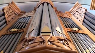 Buxtehude  Praeludium in g BuxWV 149 Joost Dhont organ [upl. by Ecirtel]