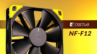 Noctua NFF12 Review  Noctuas most useless fan [upl. by Woodson930]