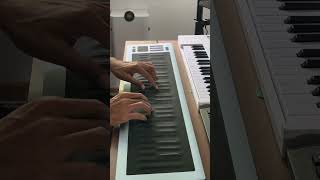 Trying out my new Roli Seaboard Rise 2 It’s a pure joy to play such an expressive controller [upl. by Ursola]