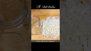 Easy Dill Pickles pickled cucumber shorts youtubeshorts [upl. by Ecilef]