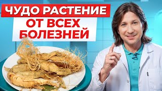 Эти ТРАВЫ заменят вам ВСЕ лекарства Как УКРЕПИТЬ здоровье с помощью ТРАВ [upl. by Silvana]