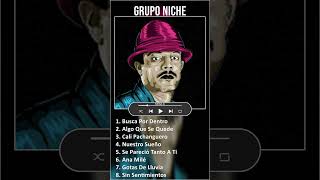 Grupo Niche MIX Grandes Exitos shorts  1980s Music  Top Salsa Tropical Latin Pop Latin Music [upl. by Haronid834]