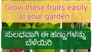 ನಿಮ್ಮ ಕೈ ತೋಟದಲ್ಲಿ ಸುಲಭವಾಗಿ ಈ ಹಣ್ಣುಗಳನ್ನು ಬೆಳೆಯಿರಿ TOP 5 EASY FRUITS TO GROW GARDEN organicfarming [upl. by Bailey559]