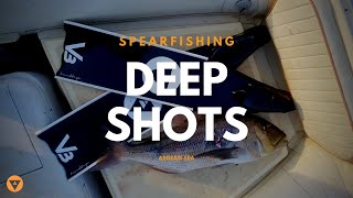 Alchemy Spearfishing  DeepShots [upl. by Ahsikcin300]