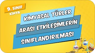 Kimyasal Türler Arası Etkileşimlerin Sınıflandırılması  9Sınıf Kimya 2024 [upl. by Shanney]