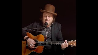 Zucchero  Come Il Sole AllImprovviso Live Acoustic [upl. by Niltak]