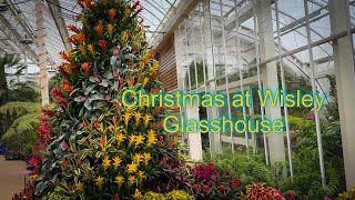 Vlog 135  Christmas at Wisley glasshouse [upl. by Amis]