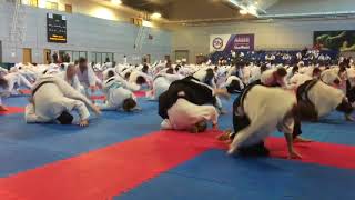 Ukemi Kata  2017 Atemi Nationals Ju jitsu [upl. by Odlabso]