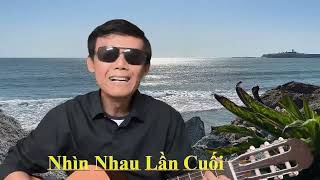 Nhìn Nhau Lần Cuối Elvis Phương  Cover Singer Hải Âu [upl. by Ardua447]