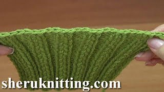 Bind Off 2x2 Rib Tutorial 14 [upl. by Nosyk]