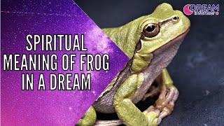 Spiritual Meaning Of Frog In a Dream  Frog Spirit Animal [upl. by Claudius]