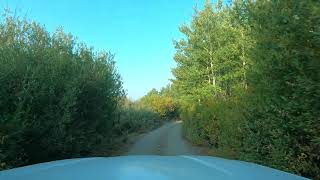 4K Driving from Lily Lake Campground to Fish Lake Campground in the Steen Mountains of Oregon [upl. by Hackney752]