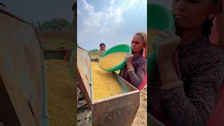 Soyabin Bone Me Ham Bahut Late Ho Jate he 🚜⛽️ minivlog shortsvlog dailyminivlogs [upl. by Letisha31]