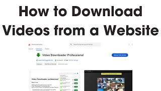 How to Download Videos from Any Website for Free  Video Downloader Professional Tutorial [upl. by Ahsenwahs559]