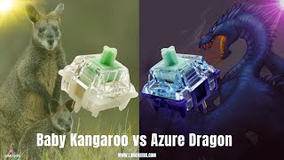 Gateron GoPolar Azure Dragon V2 vs Gateron Baby Kangaroo  Tactile Switches  Who Wins [upl. by Eilahtan]