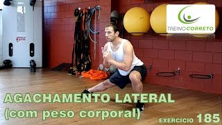 185 AGACHAMENTO LATERAL com peso corporal  Treino Correto [upl. by Neelyad469]