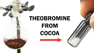 Extracting the theobromine from cocoa powder [upl. by Ulah]