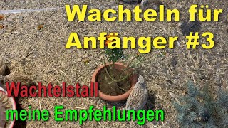 Wachtelstall Wachtelgehege  das solltest Du wissen  Wachteln für Anfänger 3 [upl. by Aiem229]