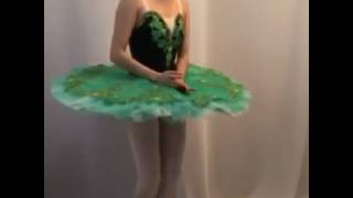 Professional ballet tutu [upl. by Atilef]