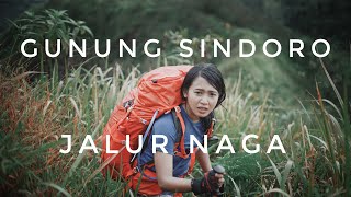 PENDAKIAN GUNUNG SINDORO via NDORO ARUM  JALUR NAGA [upl. by Eed874]