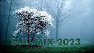 🇭🇺 BULI MIX 2023  LEGJOBB DISZKO ZENÉK 2023  BY DJ STEFI [upl. by Woodward634]