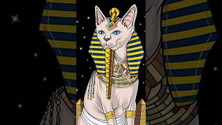 Why did Ancient Egyptians worship cats history [upl. by Beesley]