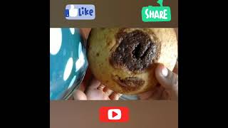 Multi layered cakevennila and chocolate flavorEgg lessHome madesimple and super tasty recipe [upl. by Maer]