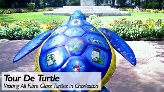 Tour de Turtle 🇺🇸 [upl. by Brenden365]