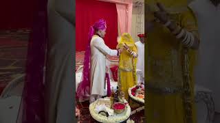 Rajput Wedding Manwar Rasam shortsvideo [upl. by Nevak]