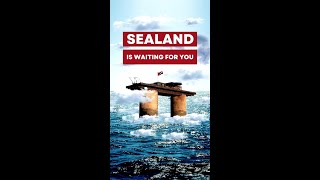 Sealand is Waiting for You  Join Us and Become Part of Our Adventure Shorts [upl. by Stichter]