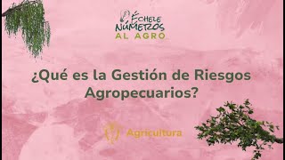 ¿Qué es la Gestión de Riesgos Agropecuarios [upl. by Cargian]