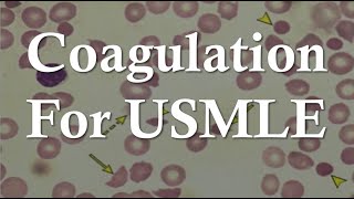 Hemostasis for USMLE Step 1  Platelet Plug Coagulation Cascade and Bleeding Disorders [upl. by Dominic]