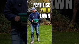 When is the best time to use fertiliser for the best lawncare results shorts [upl. by Remmos]