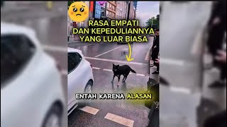 Pengorbanan Anjing Hitam Untuk Sahabatnya Dan Banyak Orang [upl. by Merle]