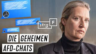 Geheime Chatgruppe So redete die AfDFraktion im Bundestag  STRGF [upl. by Lapointe162]