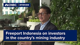 Freeport Indonesia discusses whos investing in the countrys mining industry [upl. by Lombardo]