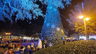 Tree Lighting Ceremony The Villages FL [upl. by Lammond786]