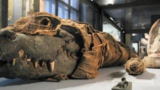 Mummified Crocodiles Lost Treasures of Egypt [upl. by Tager]