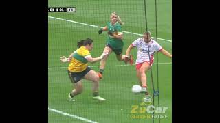 Vote now for your ZuCar Golden Glove winner from the 2024 TG4 AllIreland Championships [upl. by Sheeree]