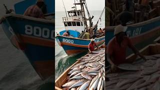 Fishing Boats Docking at the Bustling Morning Market 🚢🌊 FishingBoats [upl. by Auerbach524]