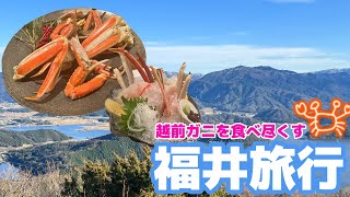 越前ガニ尽くし🦀冬の福井旅行 [upl. by Moncear]