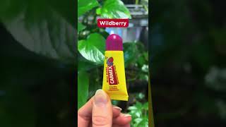 NEW CARMEX Minis lip balm [upl. by Grati332]