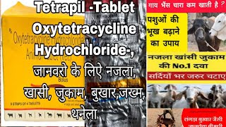 Oxytetracycline Hydrochloride Tablets Tetrapil tablets for Animal Use जानवरो मे उपयोग ली जाने वाली [upl. by Ynohtnaleahcim]