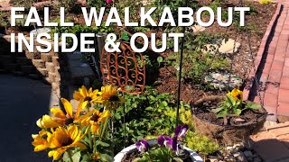 Fall Walkabout  Inside and Out [upl. by Let]