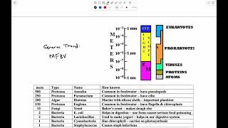 Science Olympiad Microbe Mission Lesson 1 Unit Conversions and Sizes of Common Microbes 20232024 [upl. by Hyacinthia]