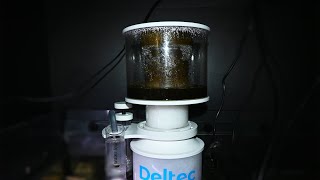 Deltec 600i  One weeks worth of Skimmate [upl. by Pazice24]