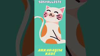 Arkadaşım Kedi Şarkısı Devamı YouTube kanalımızda [upl. by Eniortna]