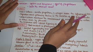 Physiological changes during pregnencypart 1obstetricsobgyDrSCGMC Nandedfinal year MBBS [upl. by Lehsar]