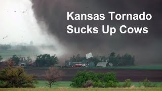 Kansas tornado sucks up cows and blows farm apart [upl. by Antrim]