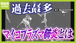 【マイコプラズマ肺炎って？】８年ぶり感染拡大で『過去最多』症状消えても感染力あり「歩く肺炎」とも 実は「うがい」はあまり予防効果なし！？（2024年10月9日） [upl. by Amliw]